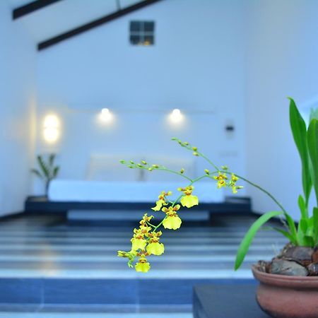 Midigama Holiday Inn Luaran gambar